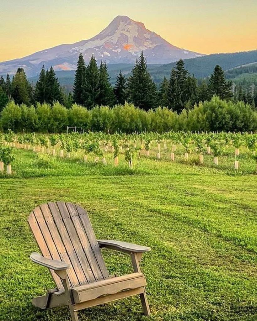 Grateful Vineyard Hood River: May 11, 2020 - Discover Hood River