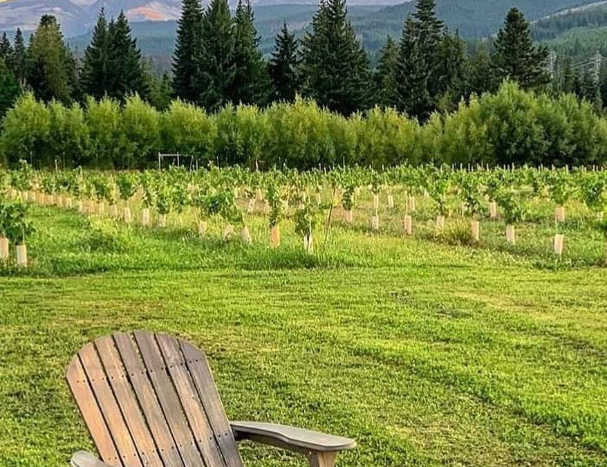 View of Mt Hood from Parkdale